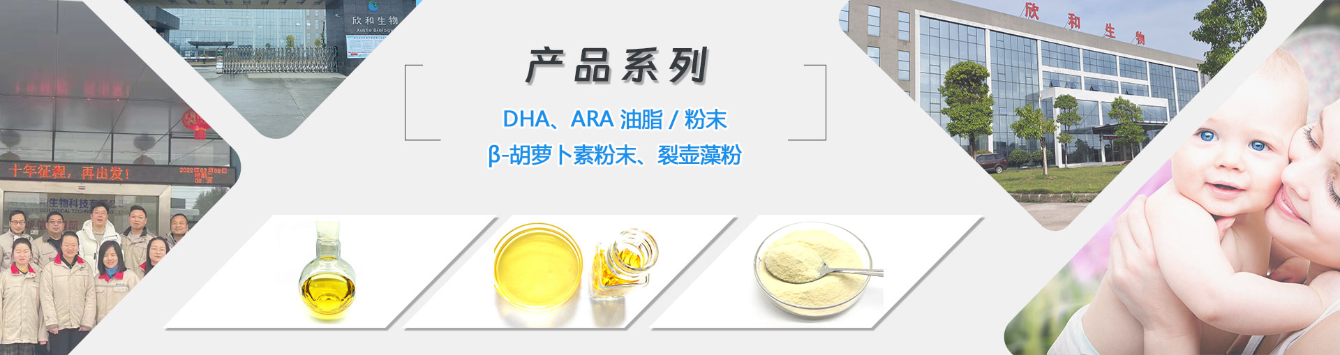 DHA、ARA油脂粉末生产厂家