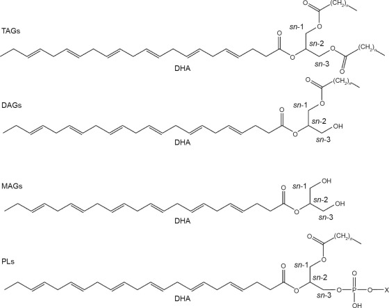 1-s2.0-S2095809920300400-gr1.jpg